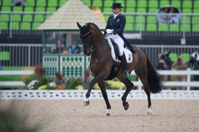 Dorothee Schneider650