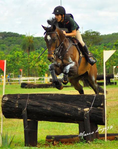 Gabriel Cury500