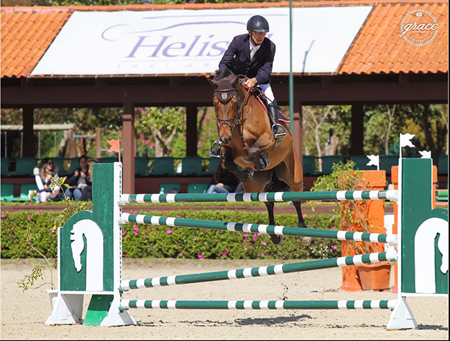 alberto muylaert senior650