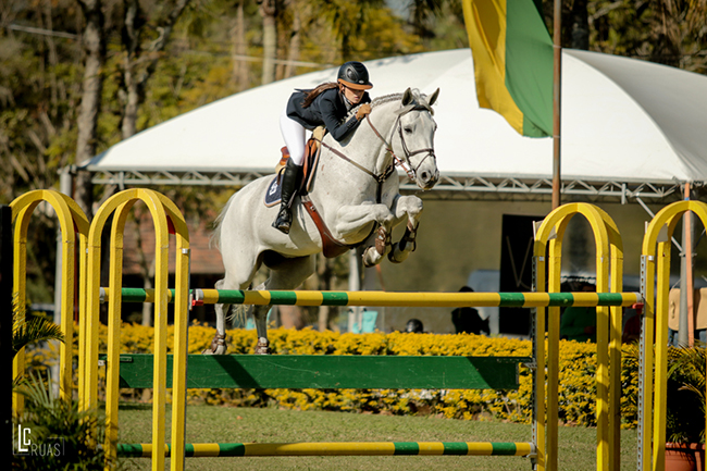 ana poa650