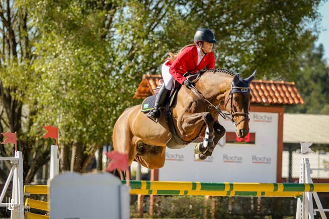 ana victoria vice yr 650 F