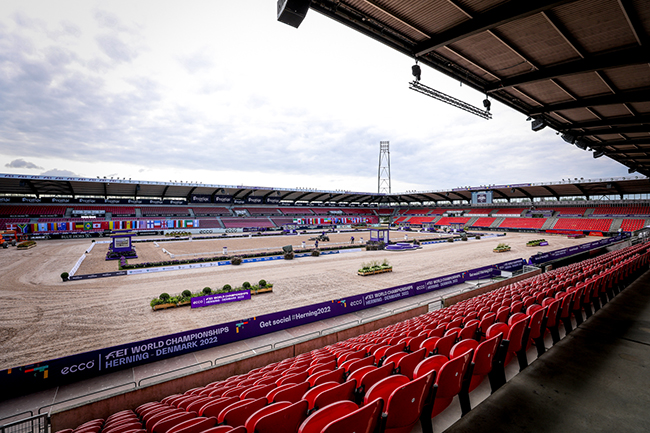 arenaherning0508