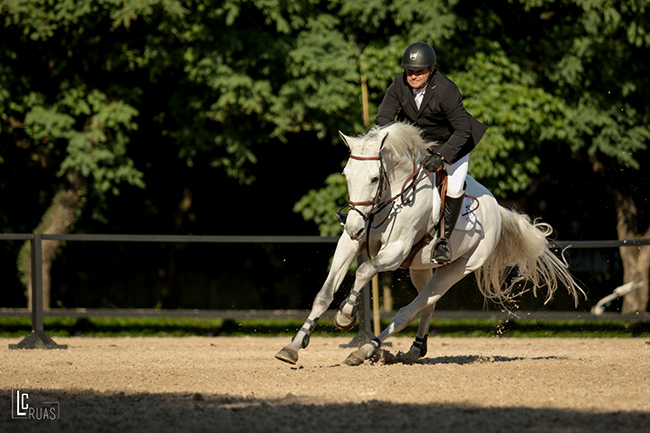 artemus cassileiro cbh650