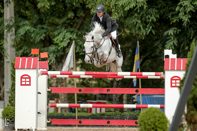 artemus vice cbh650