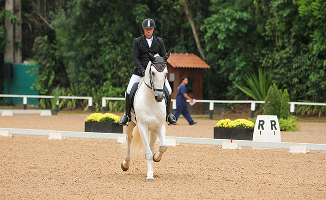 carlos vicente preliminar1010 site