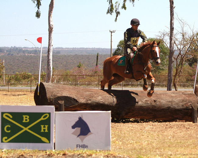ccebsb650