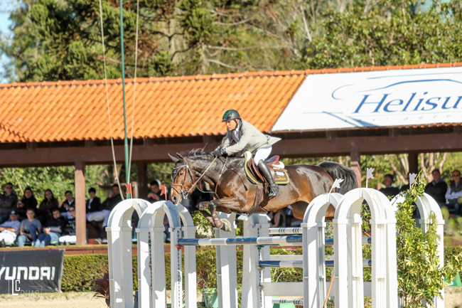 cesaralmeida baloo650