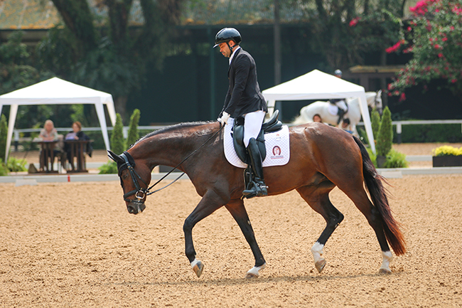 cristinano freigeist1110