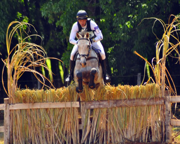 cross600