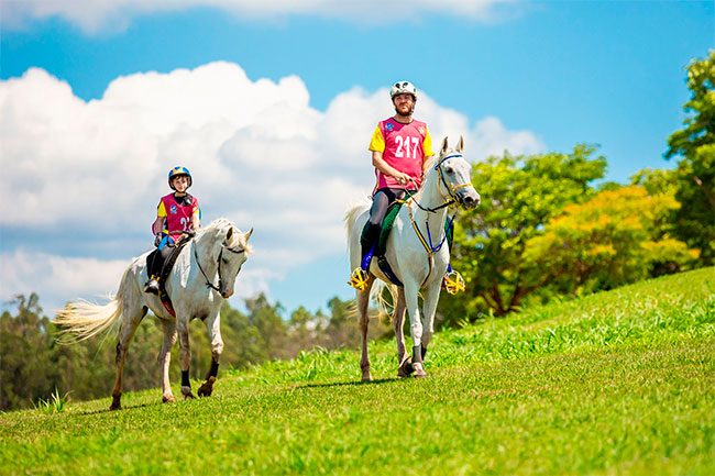 enduro famila fei2411
