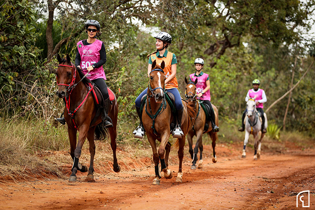 endurobrasilia650