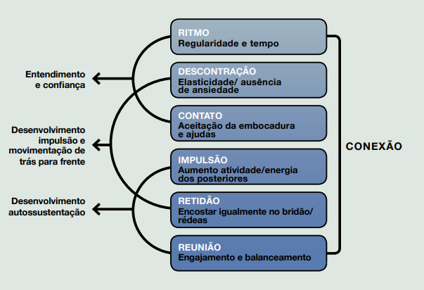escala treinamento
