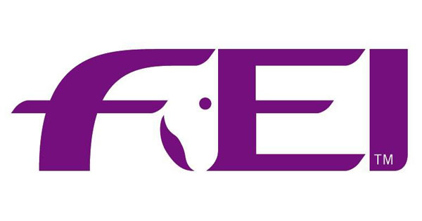fei600