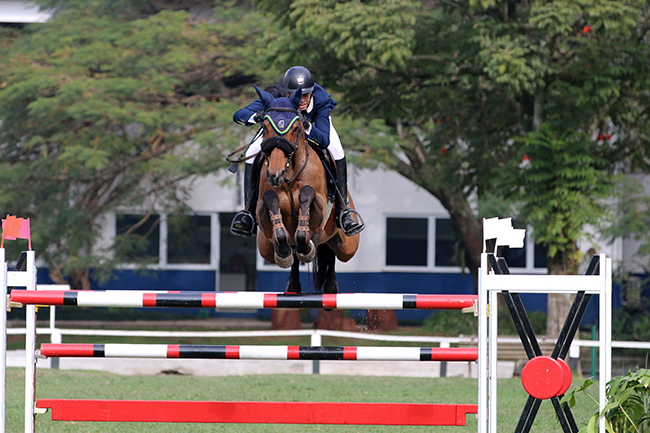 felipe greco 1506