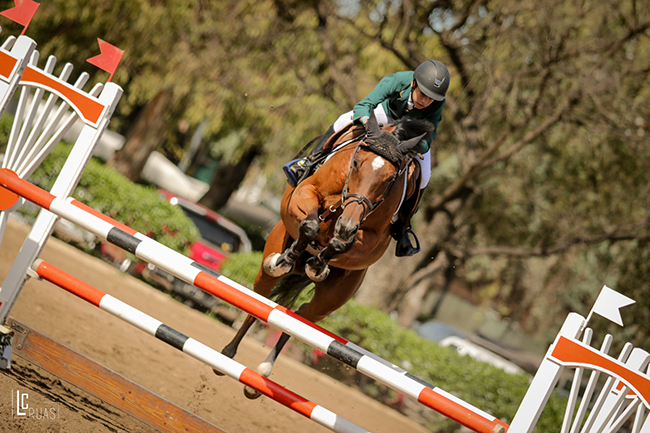 felipe salto arg650