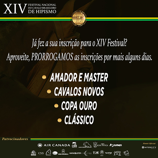 festival550 0111