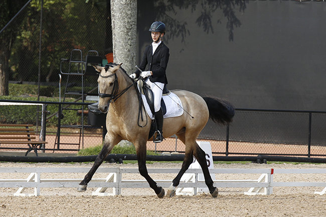 CHARLOTTE E HANDICAP2005