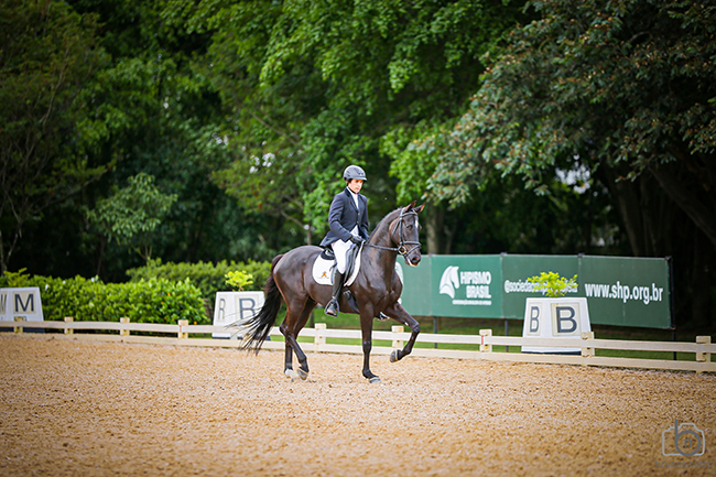 Diego Sapiro1610