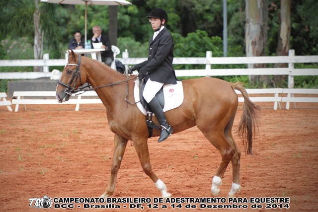 SÉRGIO FRÓES RIBEIRO DE OLIVEIRA - CAMPEÃO ESTILO LIVRE GRAU 1A