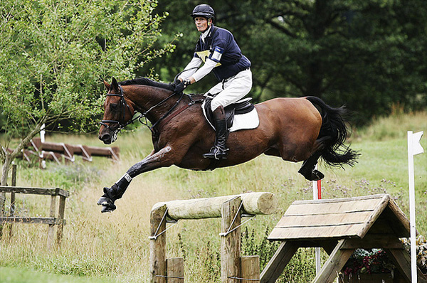 WilliamFoxPitt600