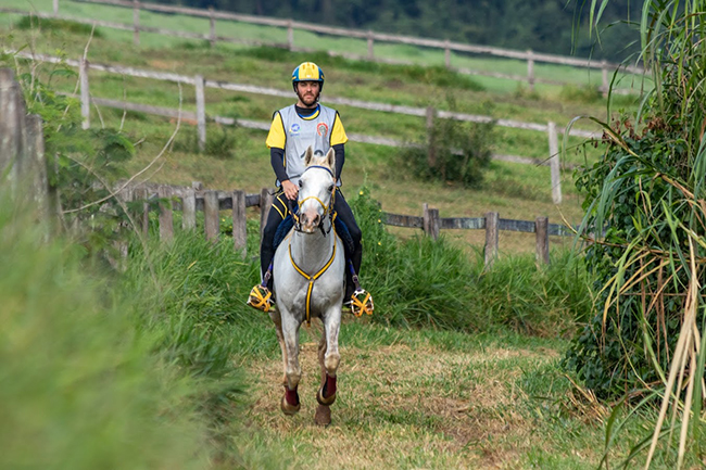 andre vidiz endurance22 6