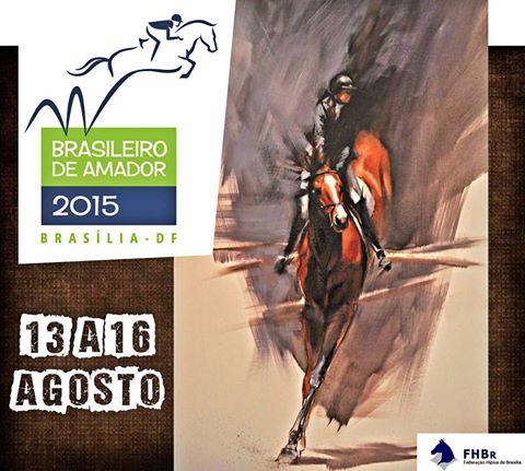 arte brasileiro amadores