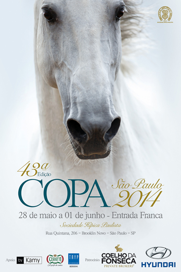 cartaz copasp 550