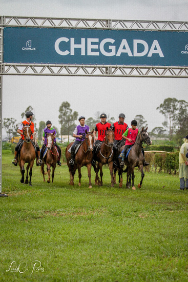 chegada550