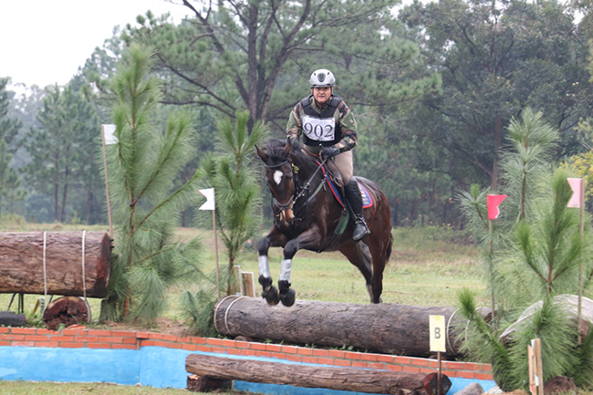 coronel gustavo RS