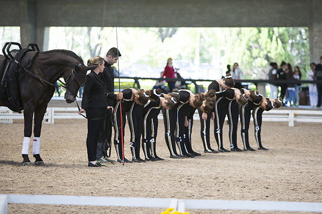 equipesE