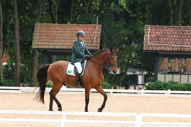 flamorion1310