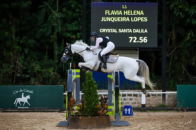 flavia junqueira1612