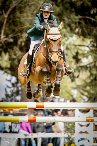 guilia arg500