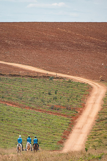 ilhadachapada1709 02