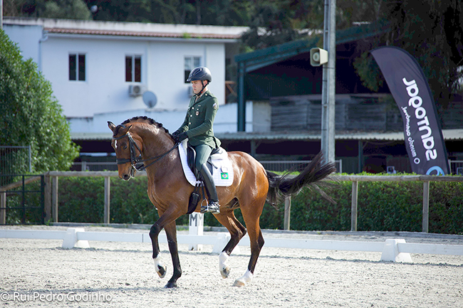 joao2503