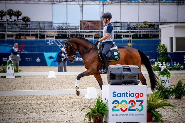 joao feelgood2110