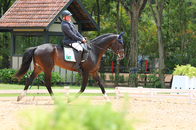 joca2011 6