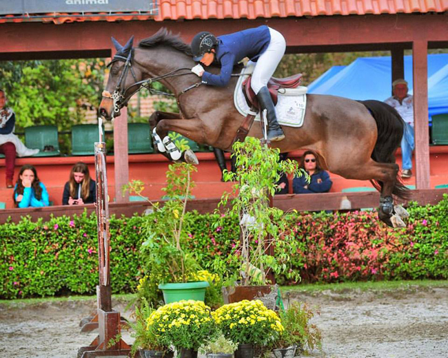 livia curitiba650