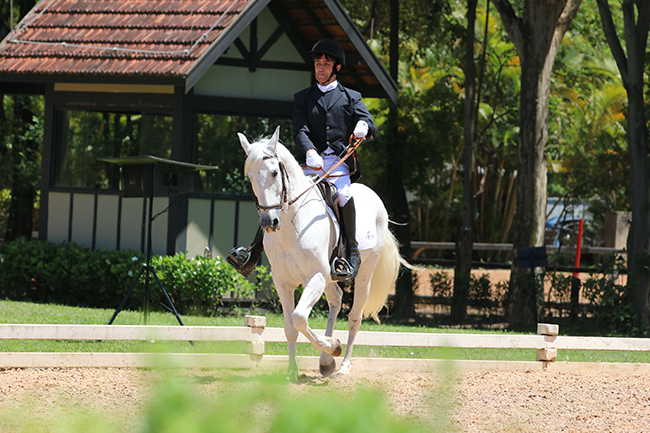 lucas barreto2011 6