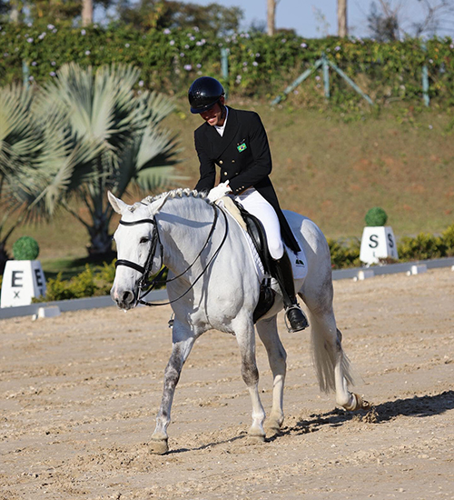 murilo tatui1 5