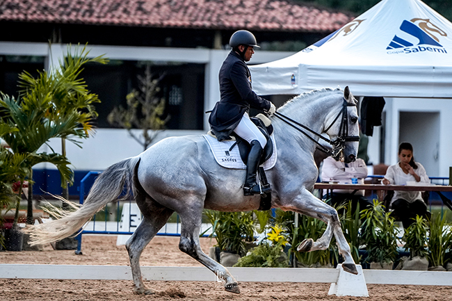 rogerioclementino forteI pro1708