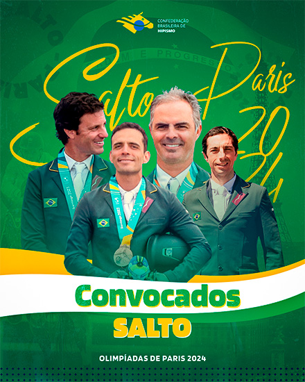 salto306