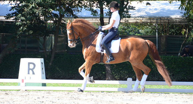 sarah adest650