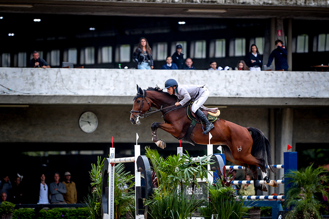 stephan2003