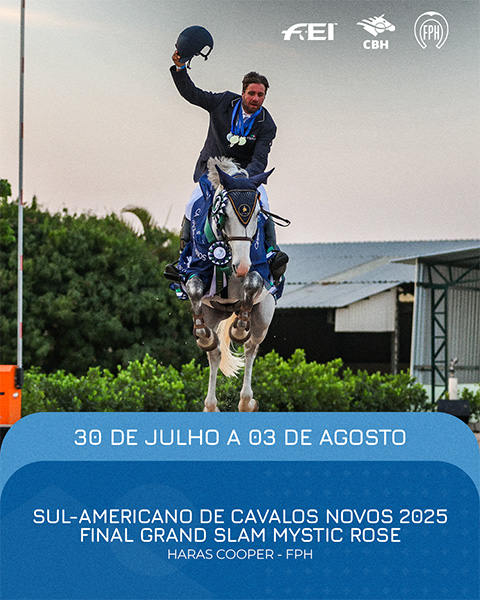 sulamericanonovos grandslam25