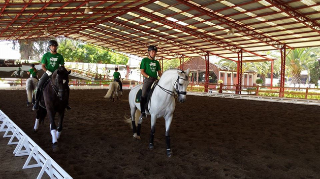 treino630
