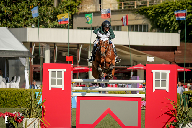 gabriele berger arg650