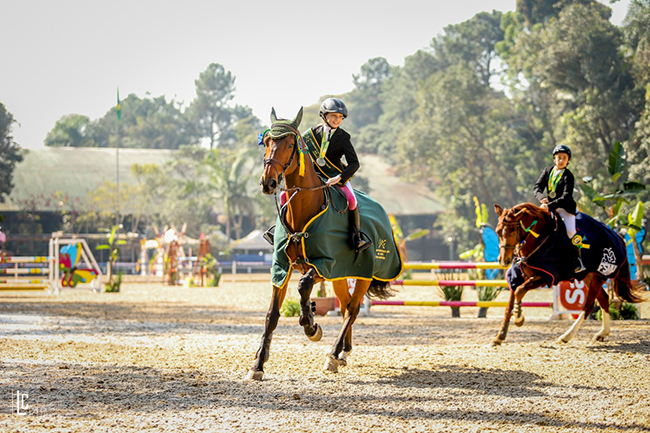 galope mmr cbs2018 650