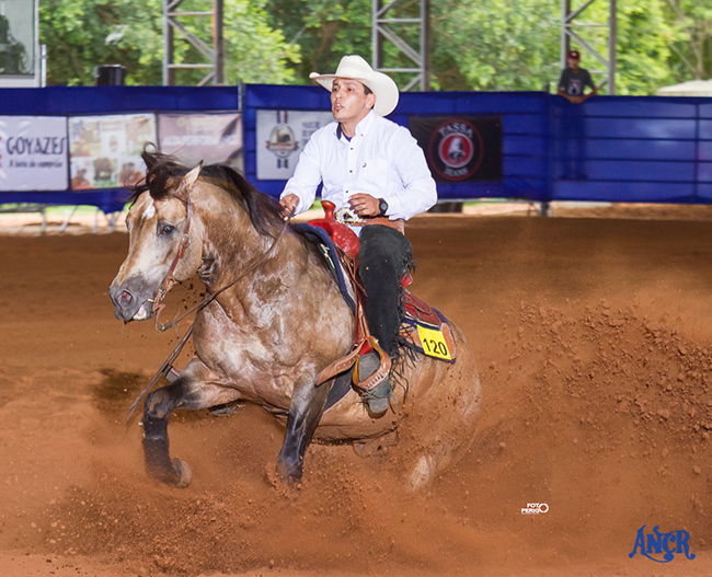 gilson diniz avare650