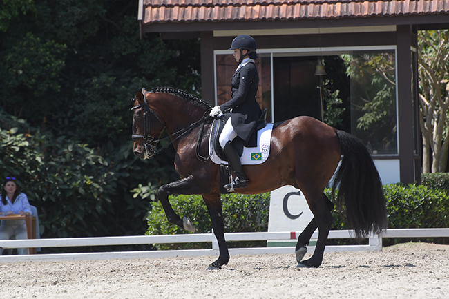 giovana 650 01